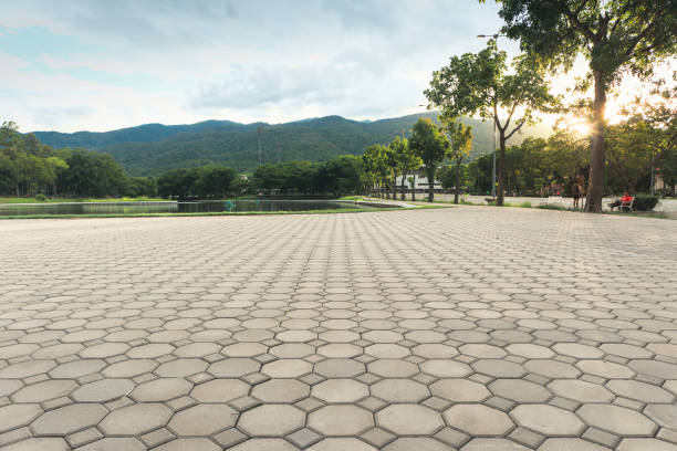 Best Concrete Paver Driveway  in Mantachie, MS